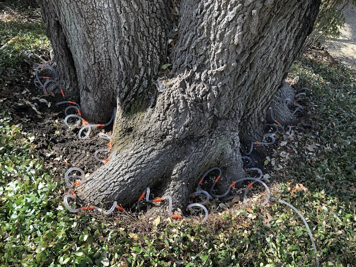 Detailed Shrub and Hedge Trimming job site in East Troy